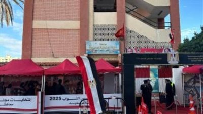 محافظ الدقهلية: إقبال على جولة الإعادة بالمرحلة الثانية من انتخابات النواب