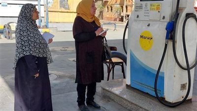 محافظ الدقهلية: ضبط 5 أطنان أسماك ومخللات و15 كيلو لحوم غير صالحين للاستهلاك الآدمي 