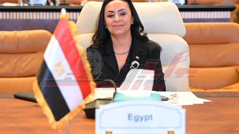 وزيرة التضامن