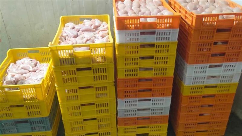 جانب من المصبوطات