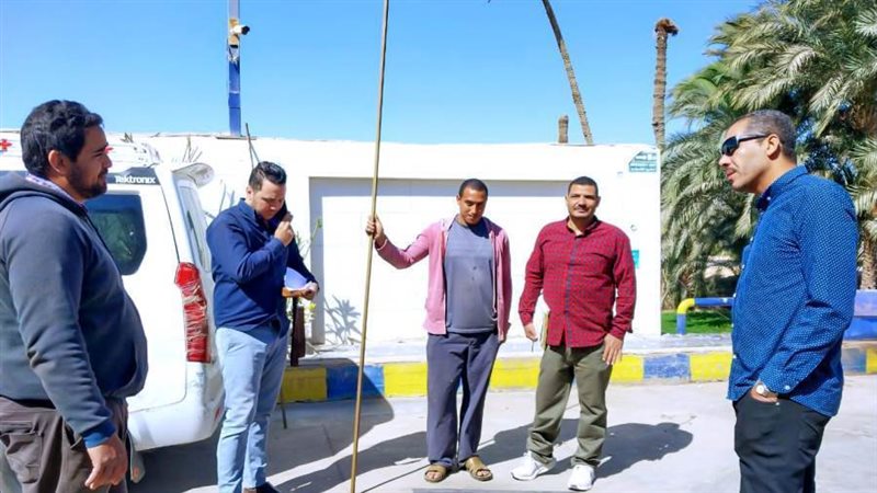 بوابة روز اليوسف