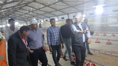 نائب محافظ المنيا يتفقد مشروع الإنتاج الداجني ويشيد بتطبيق أحدث التقنيات