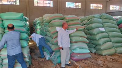 محافظ المنيا: توريد 111 ألفًا و229 طنًا من القمح بالشون والصوامع