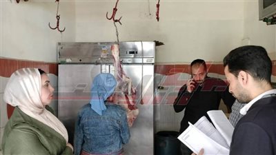 ضبط نصف طن أسماك مجمدة غير صالحة ودواجن مجمدة مجهولة المصدر بكفر الشيخ