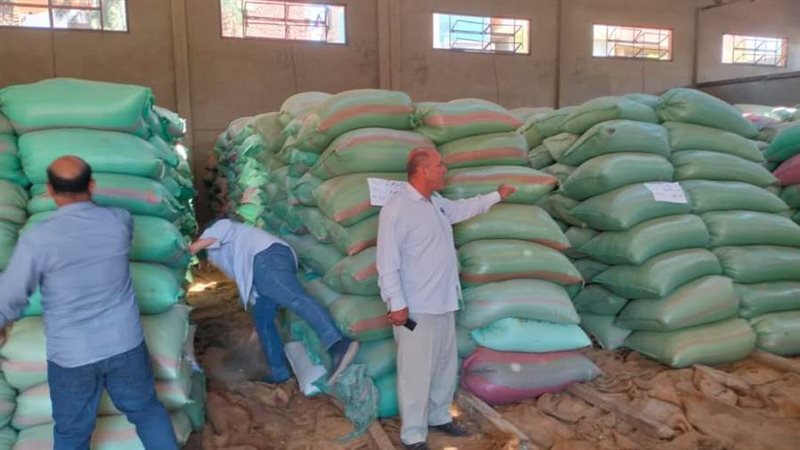 توريد القمح بالمنيا