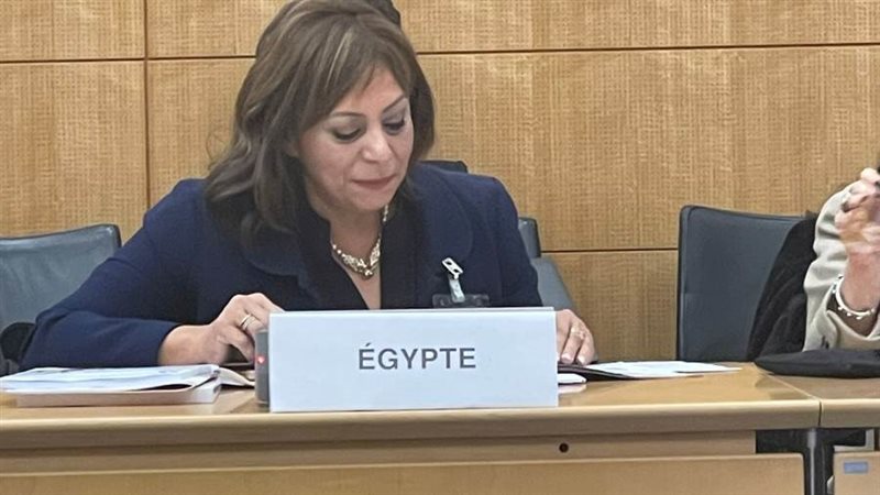 جانب من المشاركة