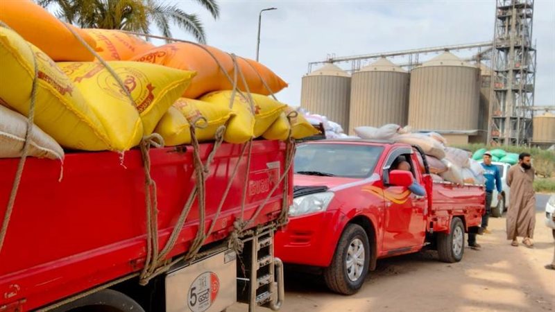 توريد القمح بالبحيرة