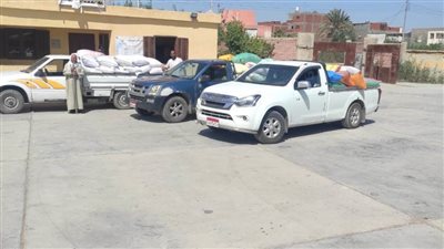 ارتفاع معدلات توريد القمح بالبحيرة لأكثر من 248 ألف طن 