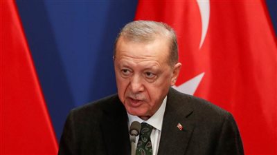 أردوغان: هناك مجزرة مستمرة في قطاع غزة منذ 353 يوما