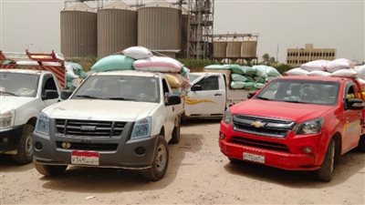 بزيادة أكثر من 31%.. ارتفاع معدلات توريد القمح لـ314 ألف طن بمحافظة البحيرة