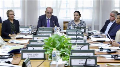  الجامعة العربية. تعقد ورشة عمل حول نزع السلاح والتسريح وإعادة الإدماج