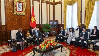 رئيس فيتنام يثني على علاقات الصداقة والتعاون الممتدة مع مصر