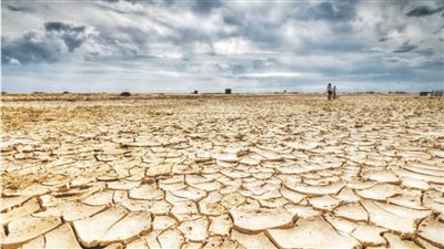 مصـر  تواجه التحدى