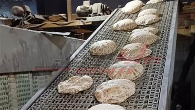 عاصمة كفر الشيخ تشن حملة تموينية مكبرة على المخابز البلدية  