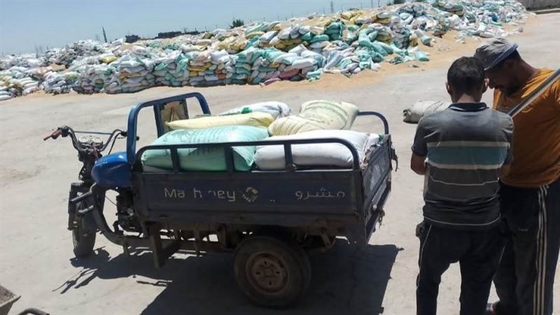 توريد القمح