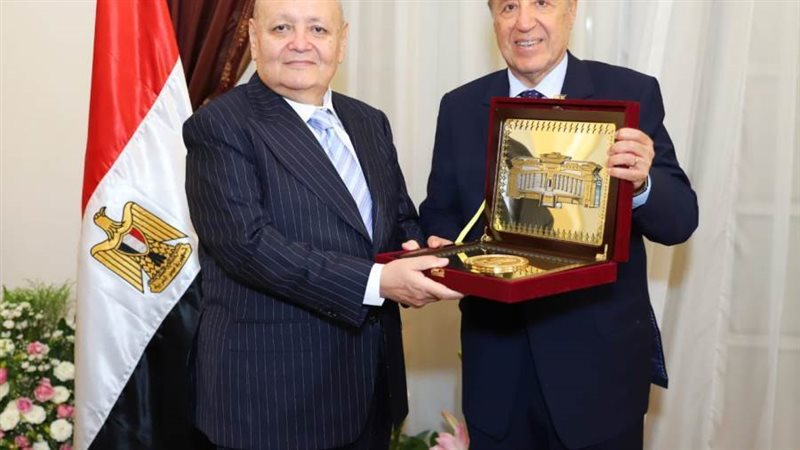 مجلس الدولة