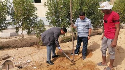 كلية التربية بجامعة بني سويف تُدشن حملة لتشجير مقر الكلية