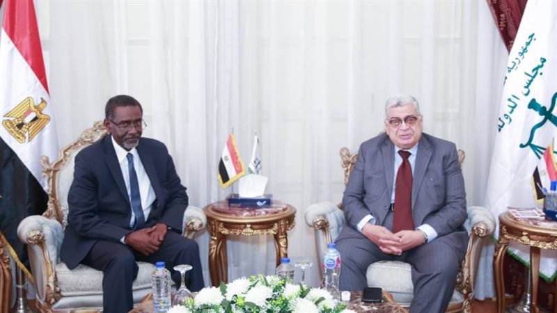 المستشار أحمد عبود