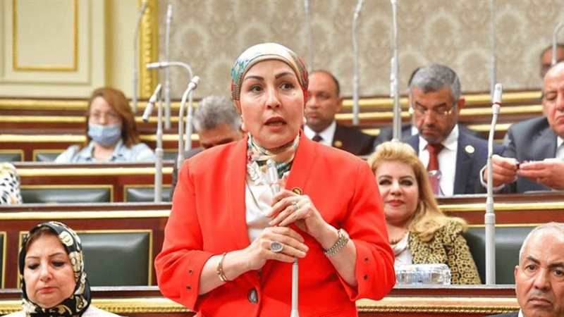 النائبة هالة أبو