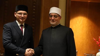 مفتي مصر وإمام الجمعية الإسلامية بفنلندا يبحثان تعزيز التعاون في مواجهة الإسلاموفوبيا