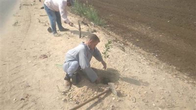 زراعة شتلات متنوعة بمركزي مطاي وبني مزار ضمن المبادرة الرئاسية بداية من أجل بيئة صحية