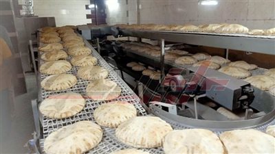 تحرير 5 محاضر مخالفات تموينية بقلين في كفر الشيخ 