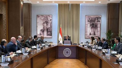 رئيس الوزراء يلتقي وفد شركة فورتيسكيو العالمية