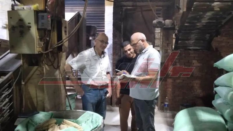 الحملات الرقابية