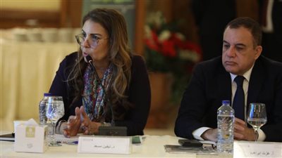 نيفين مسعد: مصر تحافظ على التوازن الاستراتيجي في علاقاتها الإقليمية في ظل اشتعال حدودها