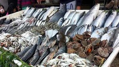 عاجل| أسعار الأسماك اليوم بسوق العبور