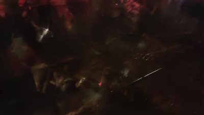 نفوق 7 رءوس ماشية في حريق حظيرة بأسيوط