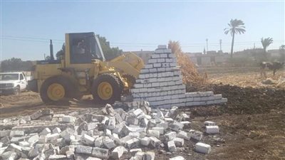  إزالة 166 حالة تعدٍ على الأراضي الزراعية وأملاك الدولة بالمنيا ضمن الموجة 24