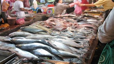 عاجل| أسعار الأسماك اليوم بسوق العبور