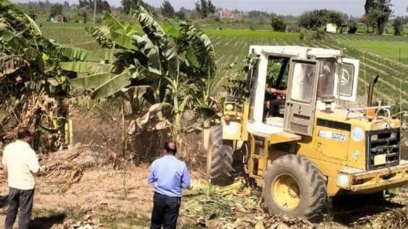 جانب من الحملة