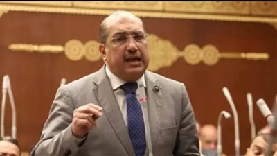 النائب إيهاب وهبة يطالب بتحسين بيئة العمل لمواجهة البطالة