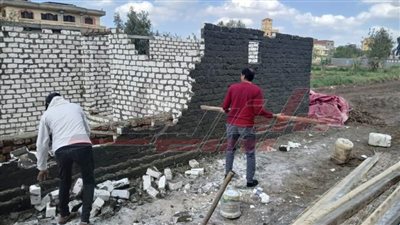 إزالة 3 حالات تعد على الأراضي الزراعية بكفر الشيخ 