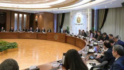 رئيس الوزراء يستعرض مع المدير التنفيذي لشركة 