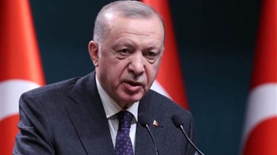 رئيس تركيا يعرب عن تضامن بلاده مع الشعب الفلسطيني