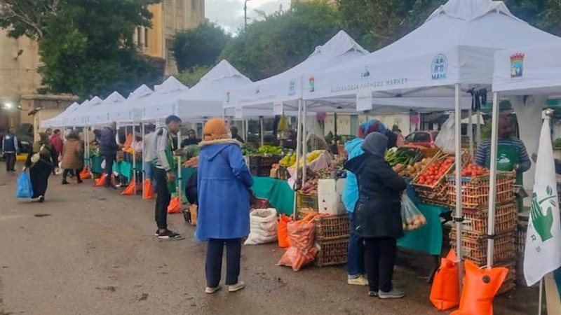 استمرار سوق اليوم