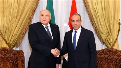 وزير الخارجية يلتقي نظيرة الجزائري