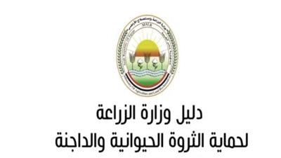 20 توصية تقدمها 