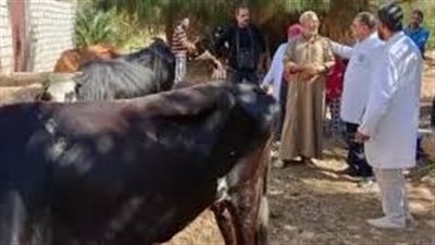 فحص 3575 طائرا وماشية في قافلة بيطرية بالغربية