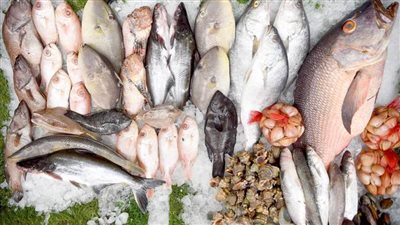 البلطي بـ74 جنيهًا.. أسعار الأسماك اليوم الجمعة