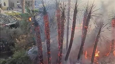 السيطرة على حريق بحديقة مدرسة قديمة بشبين القناطر دون خسائر بشرية 