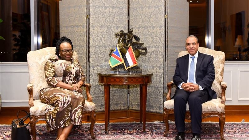 وزيرا خارجية مصر