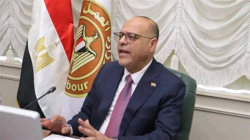 محمد جبران وزير العمل