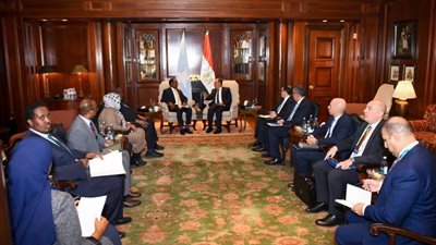 مباحثات “مصرية - صومالية” حول سبل تعزيز الشراكة ودعم الأمن