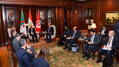 وزير الخارجية يعقد اجتماعًا ثلاثيًا حول ليبيا مع نظيريه الجزائري والتونسي