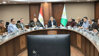 محافظ الجيزة يتابع أعمال تطوير 74 نفقًا أسفل الطريق الدائري