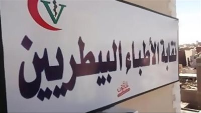 نقابة الأطباء البيطريين تنفي تحيزها لمرشحين دون غيرهم بانتخابات التجديد النصفي